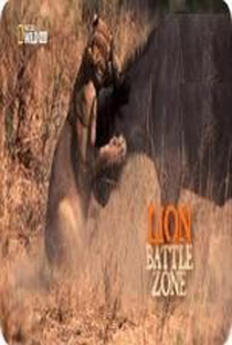 Guerra de Leões - Poster / Capa / Cartaz - Oficial 1