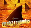 Vulcões e Tubarões