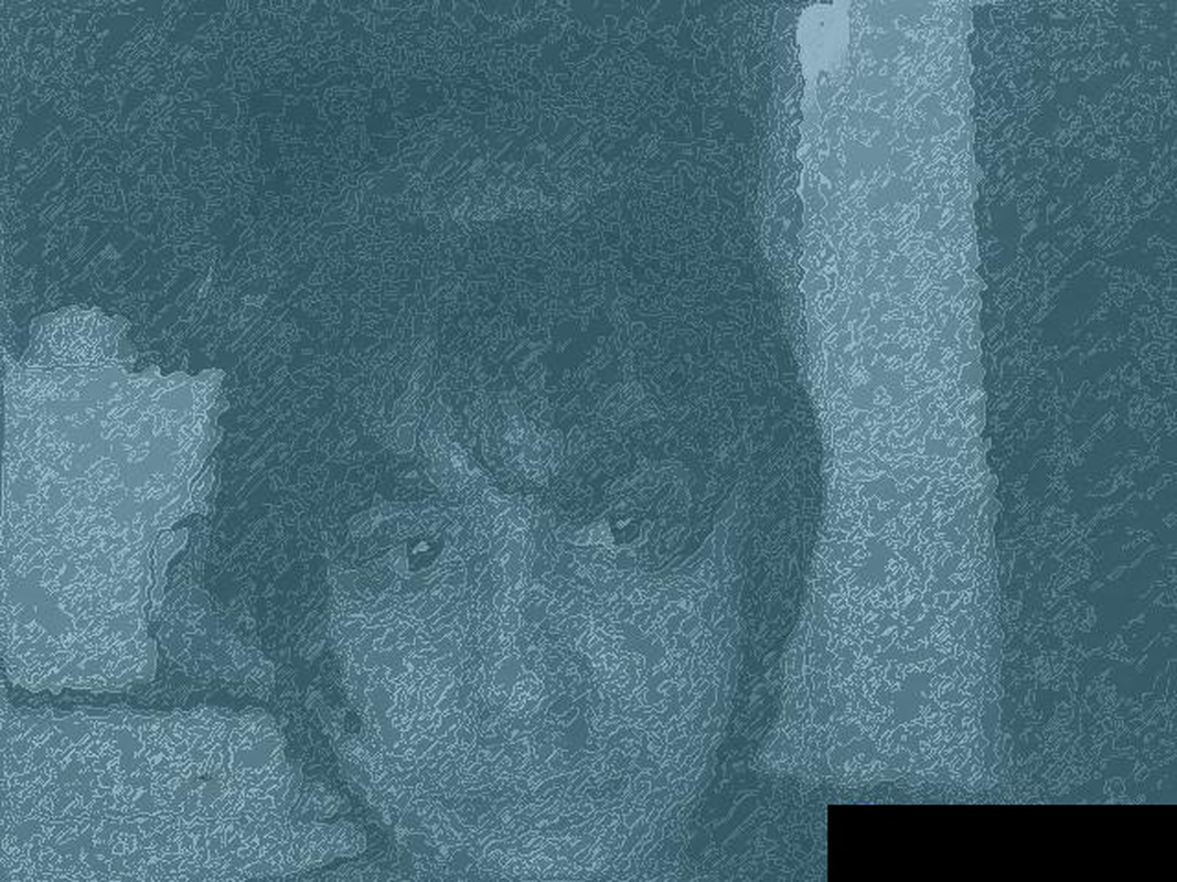 Cani - Foto 2