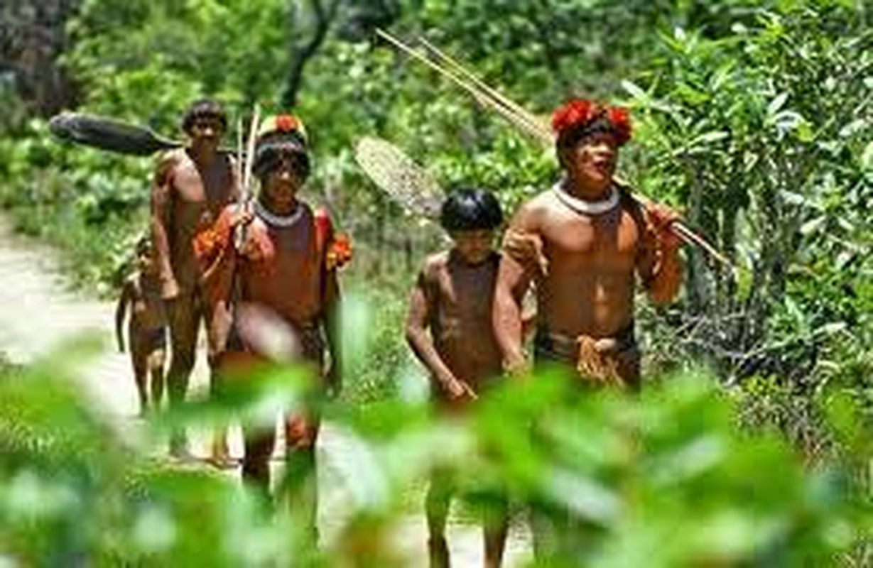 Indio Zarabatana - Foto 2