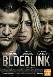 Reckless (Bloedlink)
