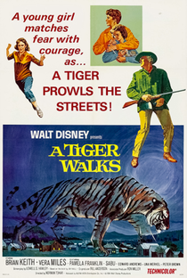 Um Tigre Caminha pela Noite - Poster / Capa / Cartaz - Oficial 4