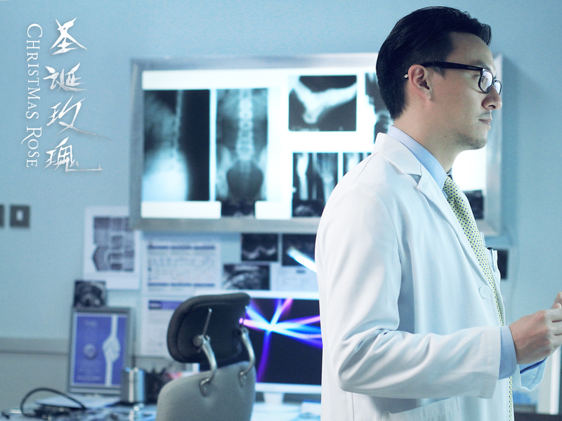 Foto 5 de Christmas Rose