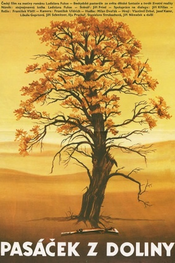 Poster de Filme Pastorzinho do Vale (1983)