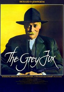 A Raposa Cinzenta (The Grey Fox)