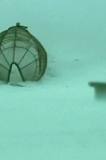 Poster de Episódio Spin (2005)