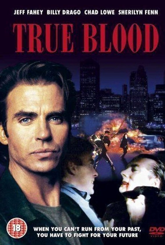 Poster 4 de Filme Sangue de Vingança (1989)