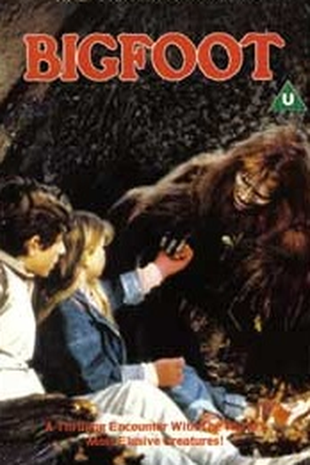 Poster de Filme Pé Grande  (1987)