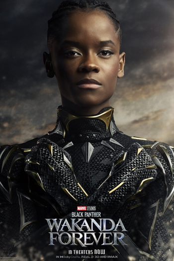  de Filme Pantera Negra: Wakanda Para Sempre (2022)