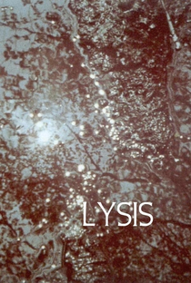 Lysis - Poster / Capa / Cartaz - Oficial 1