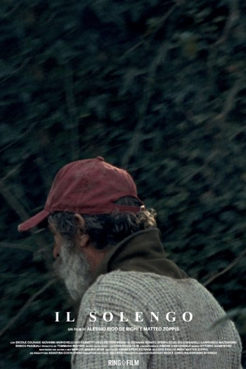 Poster de Filme Il Solengo (2016)