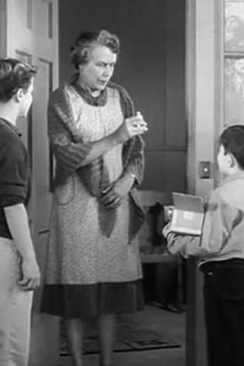 Poster de Episódio The Perfume Salesmen (1957)