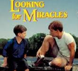 Looking for Miracles