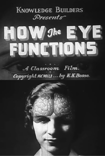 How the Eye Functions - Poster / Capa / Cartaz - Oficial 1