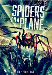 Spiders on a Plane (Spiders on a Plane)