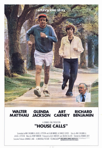 Um Viúvo Trapalhão (House Calls)