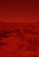 025 SUNSET RED