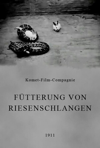 Poster 1 de Curta Fütterung von Riesenschlangen (1911)