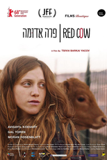 A Vaca Vermelha (Para Aduma)