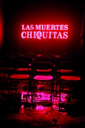 Poster de Filme Las Muertes Chiquitas (2009)
