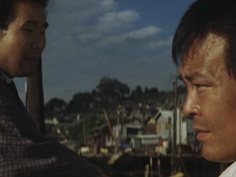 Foto 3 de Terra Natal