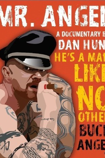 Poster de Filme Mr. Angel (2013)