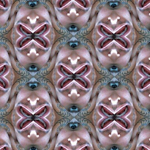 Foto de perfil de Gabriel