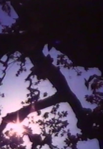 Light Point (Light Point)