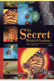 O Mundo Secreto dos Jardins - Poster / Capa / Cartaz - Oficial 1