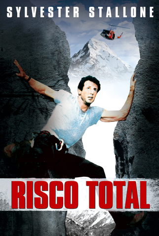 Poster 20 de Filme Risco Total (1993)