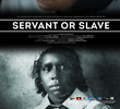 Servant or Slave