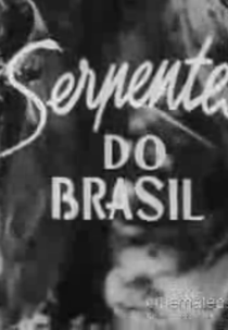 Serpentes do Brasil (Serpentes do Brasil)