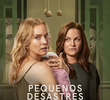 Pequenos Desastres
