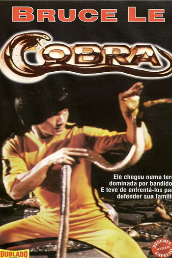 Poster de Filme Cobra (1982)