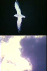 Migration (Migration)