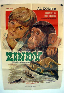 Zindy, el fugitivo de los pantanos (Zindy, el fugitivo de los pantanos)