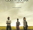 Queen Sugar (1ª Temporada)