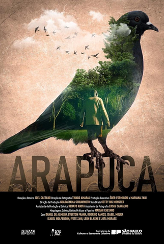 Poster 1 de Curta Arapuca (2023)
