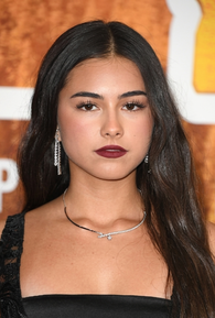 Lumi Pollack