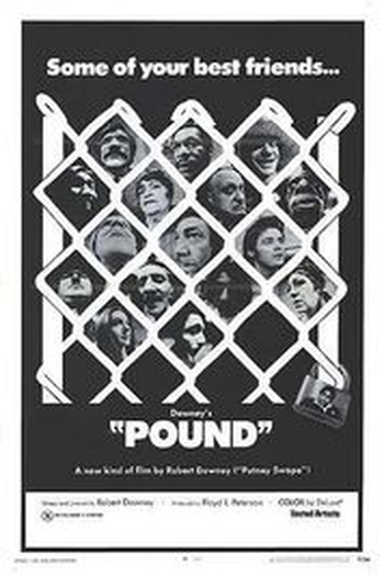Poster de Filme Pound (1970)