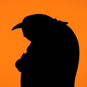 Foto de perfil de dfcogo