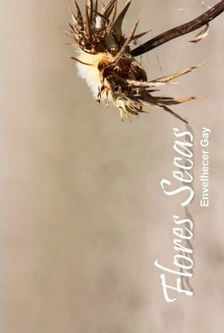 Poster 1 de Curta Flores Secas (2015)