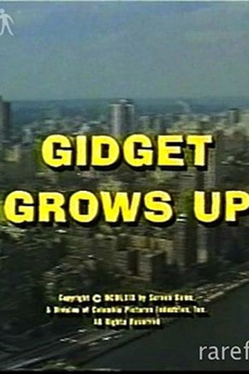 Poster de Filme Gidget Já é Adulta (1969)