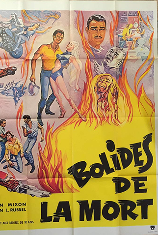 Poster 2 de Filme Fireball Jungle (1968)