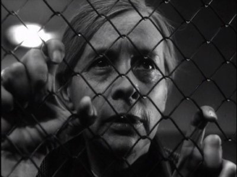 Foto 3 de Matka Królów