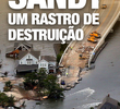 Sandy - Um Rastro de Destruição (National Geographic)