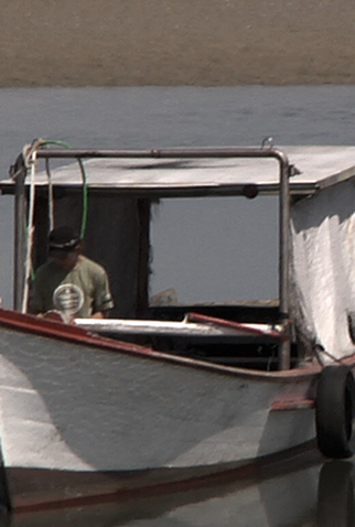 Poster 1 de Curta Cisco (2013)