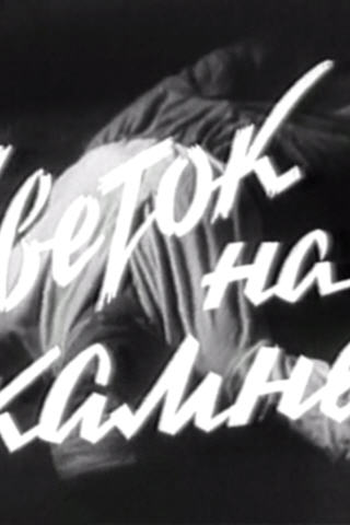 Poster de Filme Flor Sobre a Pedra (1962)