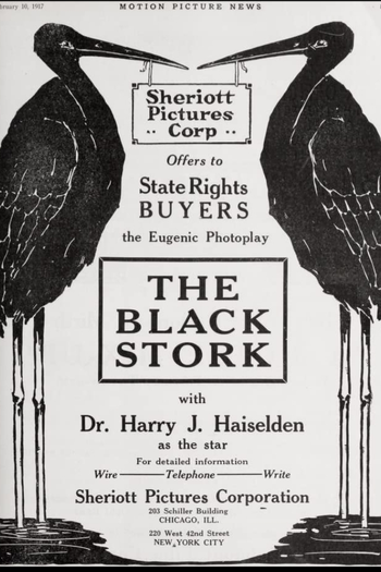 Poster de Filme A Cegonha Negra (1917)