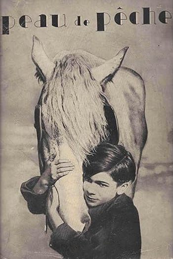 Poster de Filme Peach Skin (1929)